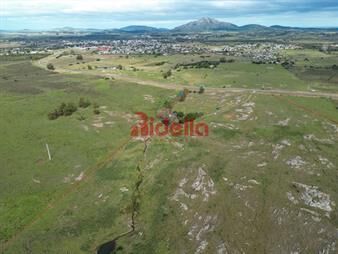 https://www.gallito.com.uy/venta-de-campo-en-pan-de-azucar-maldonado-inmuebles-25793312