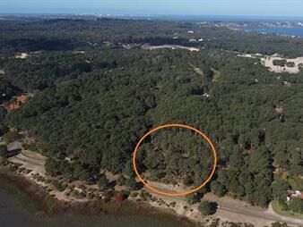https://web5.gallito.com.uy/venta-de-terreno-en-club-del-lago-punta-ballena-inmuebles-27503508