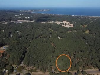 https://web5.gallito.com.uy/venta-de-terreno-en-club-del-lago-punta-ballena-inmuebles-27503510