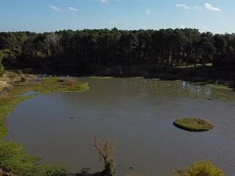 https://www.gallito.com.uy/venta-de-terreno-en-club-del-lago-proximo-a-la-inmuebles-27503564
