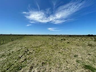 https://www.gallito.com.uy/campo-19-hectareas-ruta-39-san-carlos-maldonado-inmuebles-27503722