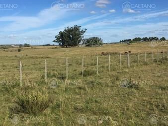 https://www.gallito.com.uy/hermosa-chacra-10-hectareas-en-camino-de-los-inmuebles-25643611
