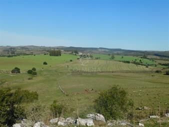 https://web5.gallito.com.uy/atencion-inversores-campo-262-has-pueblo-apto-inmuebles-25719988