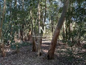 https://www.gallito.com.uy/en-venta-terreno-la-juanita-jose-ignacio-inmuebles-27511004