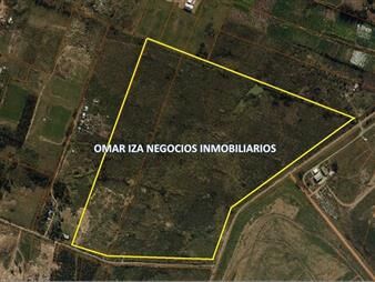 https://www.gallito.com.uy/terreno-felipe-cardozo-41has-industria-logisitca-reciclaje-inmuebles-27510806