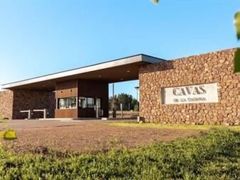 https://web5.gallito.com.uy/cavas-de-la-tahona-973m-terreno-excelente-ubicado-inmuebles-27513775