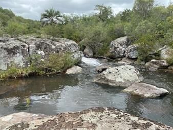 https://www.gallito.com.uy/7-chacras-de-5-has-cada-una-a-20-km-de-aigua-por-inmuebles-25347916