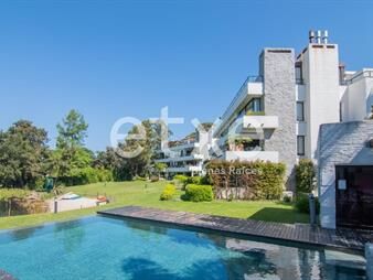 https://web5.gallito.com.uy/alquiler-apartamento-2-dormitorios-areia-av-americas-inmuebles-27489382