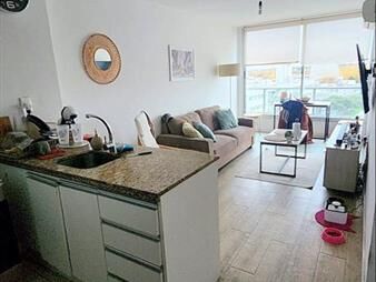 https://web5.gallito.com.uy/apartamento-en-venta-con-renta-1-dormitorio-garaje-cordon-inmuebles-26204753