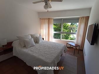 https://www.gallito.com.uy/alquila-departamento-de-1-dormitorio-en-punta-del-inmuebles-27406400