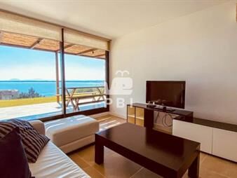 https://web5.gallito.com.uy/apartamento-en-el-lomo-de-la-ballena-1-dormitorio-inmuebles-26755590