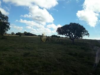https://www.gallito.com.uy/campo-en-lascano-inmuebles-27529901