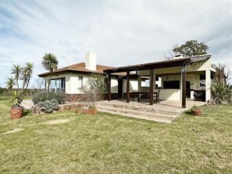 https://web5.gallito.com.uy/campo-olivar-sobre-la-ruta-8-de-minas-inmuebles-24422066