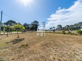 https://web5.gallito.com.uy/lote-en-tio-tom-punta-ballena-ref-pbi2939-inmuebles-23108086
