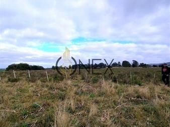 https://web5.gallito.com.uy/campo-en-zona-rural-inmuebles-27470020