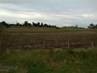 https://web5.gallito.com.uy/campo-en-venta-paso-de-la-arena-inmuebles-24713251