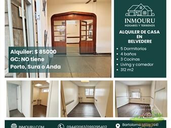 https://web5.gallito.com.uy/alquiler-de-casa-en-belvedere-inmuebles-27540297