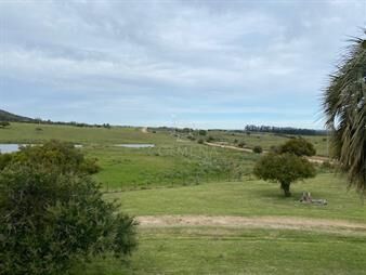 https://www.gallito.com.uy/campo-22-has-con-casa-cerca-de-pueblo-eden-inmuebles-22909664