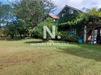 https://web5.gallito.com.uy/chacra-en-la-pataia-punta-ballena-inmuebles-24987976
