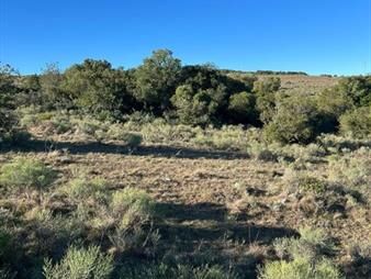 https://www.gallito.com.uy/lindo-campito-de-recreo-o-para-fraccionar-a-30-de-inmuebles-27548410