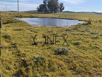 https://www.gallito.com.uy/hermosa-chacra-de-5-ha-en-zanja-de-chavez-a-15-km-inmuebles-27485436