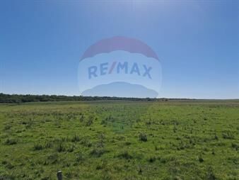 https://www.gallito.com.uy/venta-campo-rio-negro-ganadero-agricola-350-has-inmuebles-27552974