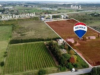 https://web5.gallito.com.uy/venta-terreno-chacra-27-has-melilla-inmuebles-26147562