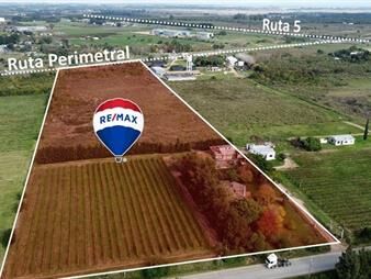 https://web5.gallito.com.uy/venta-terrenochacra-melilla-47-has-inmuebles-26147564