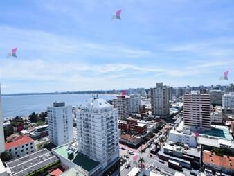 https://web5.gallito.com.uy/piso-alto-con-hermosa-vista-inmuebles-26974195