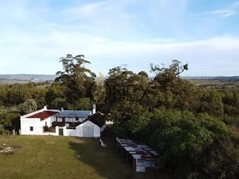 https://www.gallito.com.uy/venta-de-campo-de-77-ha-en-las-cañas-inmuebles-27554168