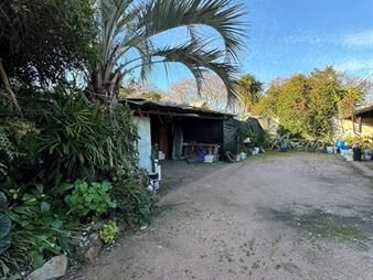 https://web5.gallito.com.uy/venta-de-casa-punta-gorda-gran-terreno-inmuebles-27548957