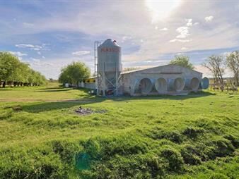 https://www.gallito.com.uy/venta-granja-avicola-de-18-hectareas-san-jacinto-inmuebles-27564877