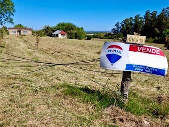 https://www.gallito.com.uy/venta-chacra-media-hectarea-casa-cuchilla-pereira-inmuebles-25295271
