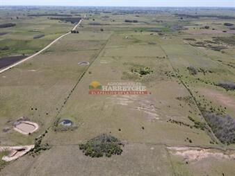 https://www.gallito.com.uy/campo-en-venta-19-has-en-tapia-2-casas-a-15-min-inmuebles-24598106