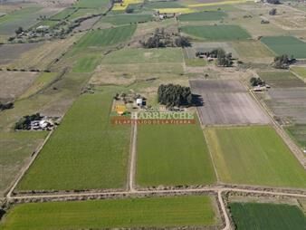 https://www.gallito.com.uy/campo-en-venta-18-has-canelones-con-todas-las-inmuebles-22779054