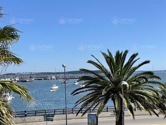 https://web5.gallito.com.uy/apartamento-en-punta-del-este-puerto-inmuebles-24296716