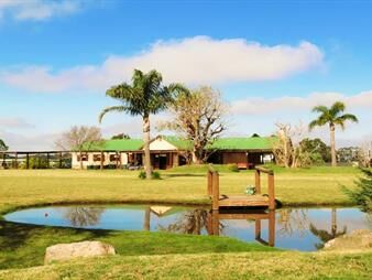 https://www.gallito.com.uy/casa-en-venta-con-amplio-jardã­n-en-el-quijote-inmuebles-25417821