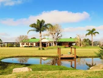 https://www.gallito.com.uy/casa-en-alquiler-con-amplio-jardã­n-en-el-quijote-inmuebles-26882315