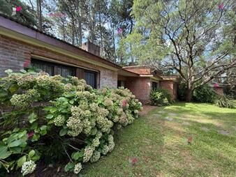 https://web5.gallito.com.uy/venta-de-gran-terreno-marly-punta-del-este-inmuebles-27305992