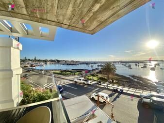 https://web5.gallito.com.uy/venta-apartamento-4-dormitorios-edificio-le-bleu-inmuebles-27317777