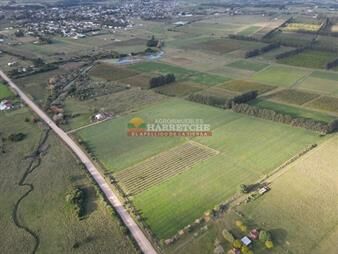 https://www.gallito.com.uy/chacra-en-los-cerrillos-10-has-aguada-a-del-inmuebles-27489416