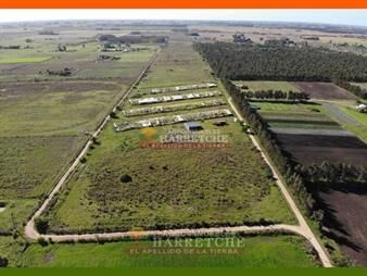 https://www.gallito.com.uy/chacra-venta-10-has-en-sauce-sin-buena-y-inmuebles-22191053