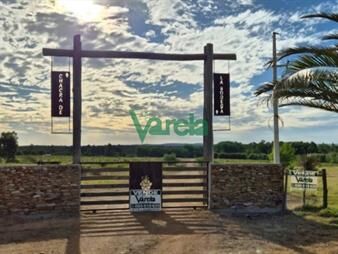 https://www.gallito.com.uy/chacras-de-la-bodega-sobre-la-ruta-80-km73-inmuebles-27485452
