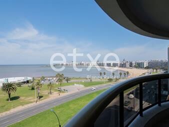 https://www.gallito.com.uy/apartamento-en-alquiler-en-edificio-olimpo-rambla-pocitos-inmuebles-26125020