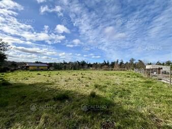 https://web5.gallito.com.uy/venta-terreno-camino-eguzquiza-el-tesoro-la-inmuebles-25703605