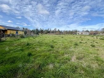 https://web5.gallito.com.uy/venta-terreno-miramar-acres-la-barra-inmuebles-25703603