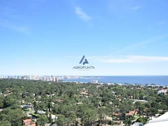 https://web5.gallito.com.uy/alquiler-pent-house-2-dormitorios-y-medio-punta-del-este-inmuebles-17597196