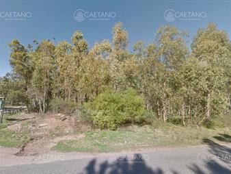 https://web5.gallito.com.uy/venta-terreno-950m-en-burnett-maldonado-ideal-inmuebles-26070652