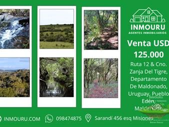 https://www.gallito.com.uy/venta-de-chacra-en-pueblo-eden-inmuebles-27576003