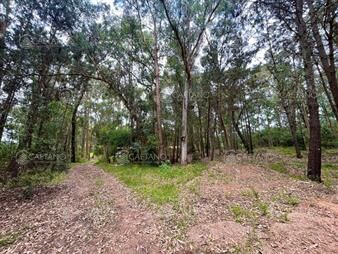 https://web5.gallito.com.uy/venta-terreno-en-burnett-maldonado-1730m2-inmuebles-26269487